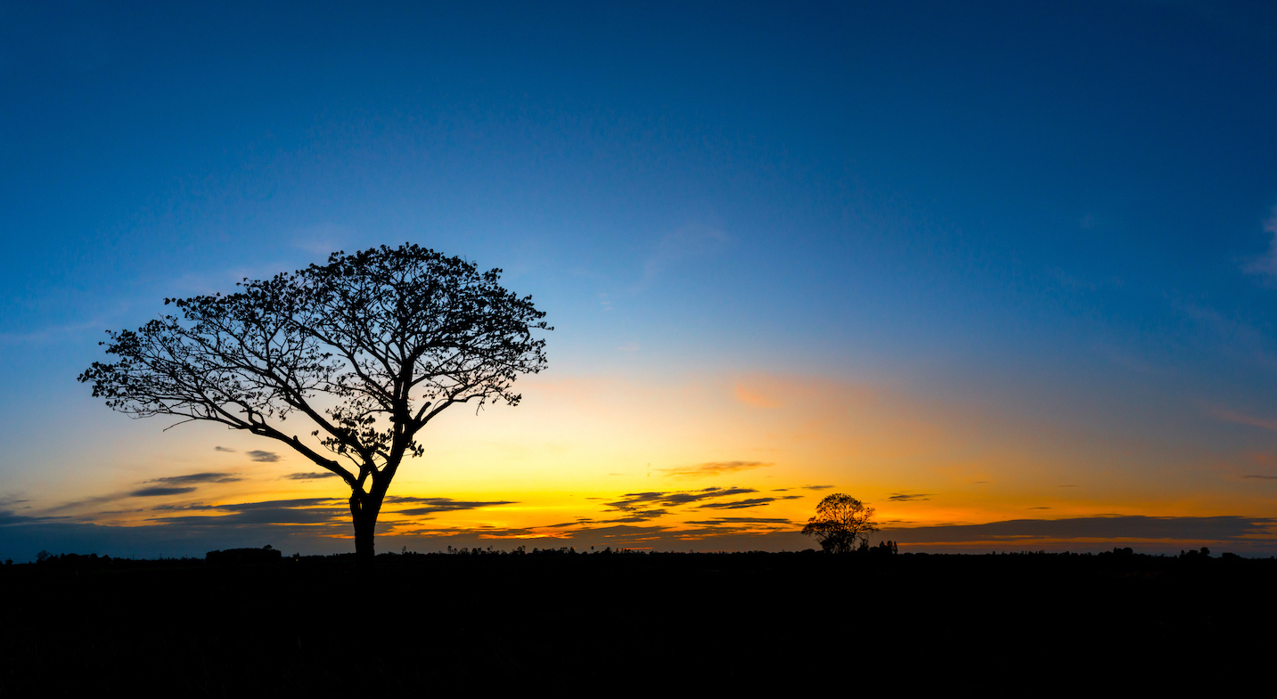 architecture-2267789_1920